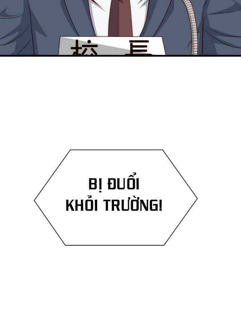 Hệ Thống Tu Tiên Mạnh Nhất: Chapter 13