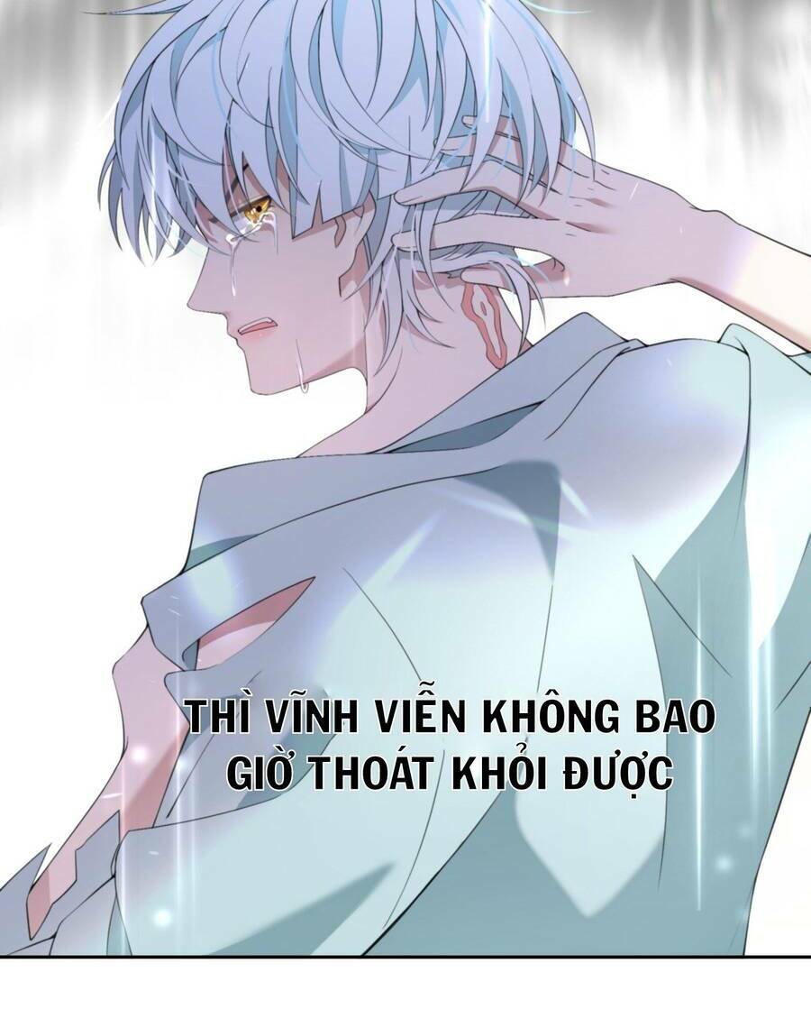 Trăm Cách Tử Đạo Của Công Chúa: Chapter 8
