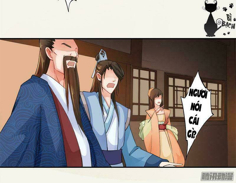 Tuyệt Thế Luyện Đan Sư: Chapter 4