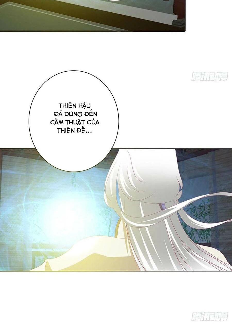 Thông Linh Phi: Chapter 669