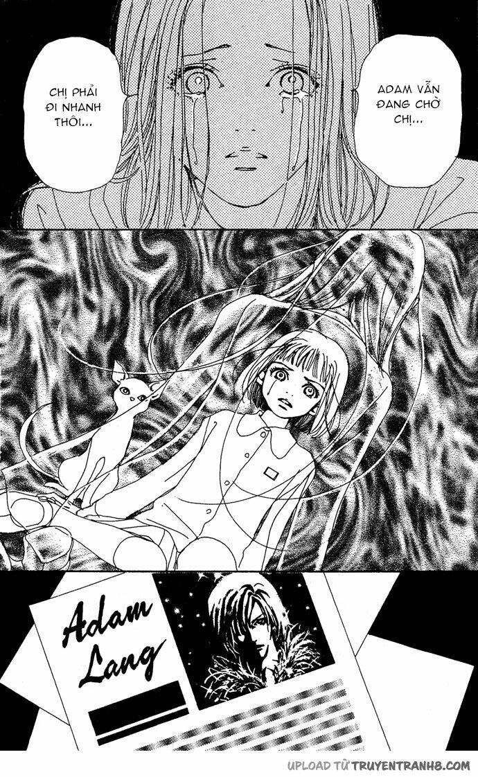 Last Quarter: Chapter 11