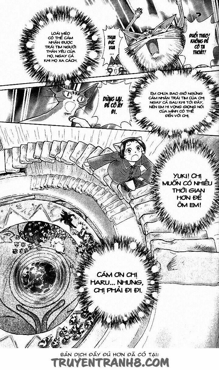 Lời Thì Thầm Từ Trái Tim: Chapter 8