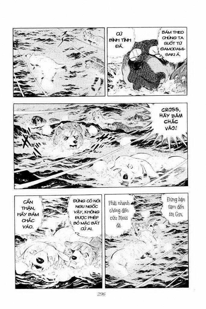 Chú Chó Có Nghĩa - Ginga Nagareboshi Gin: Chapter 30.2