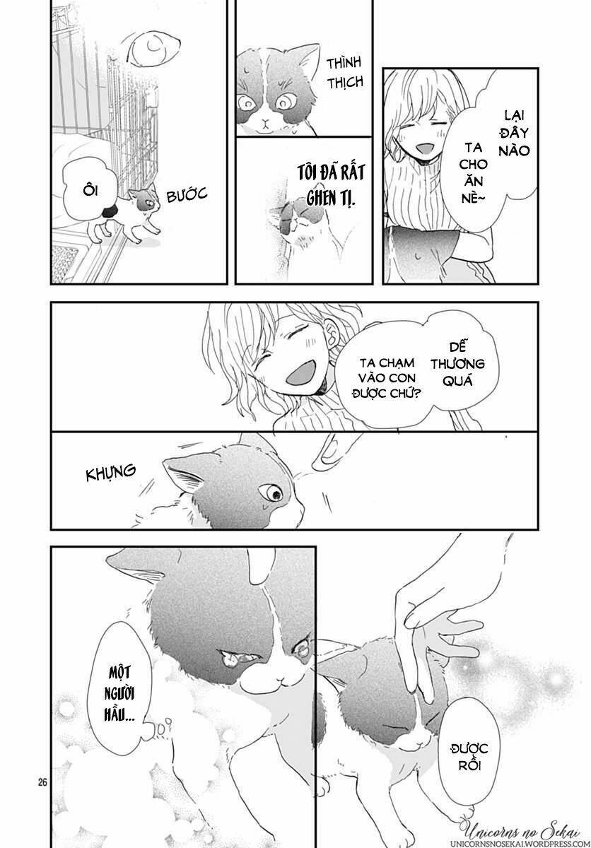Kimi To Wonderland: Chapter 5