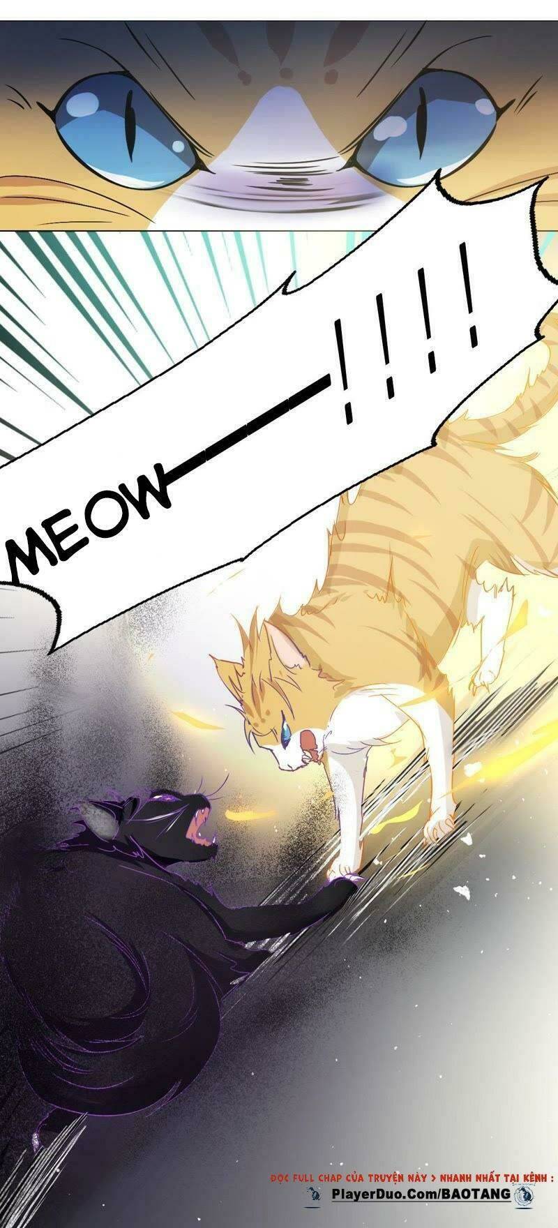 Thập Nhị Hắc Miêu: Chapter 5