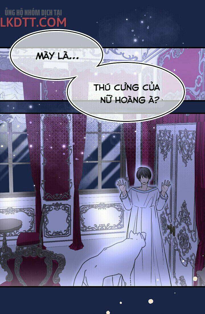 Mylord, Nữ Hoàng Của Loài Sói!: Chapter 15