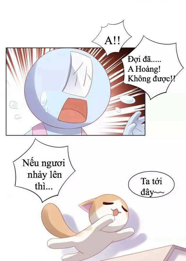 Dưới Móng Vuốt Mèo: Chapter 13