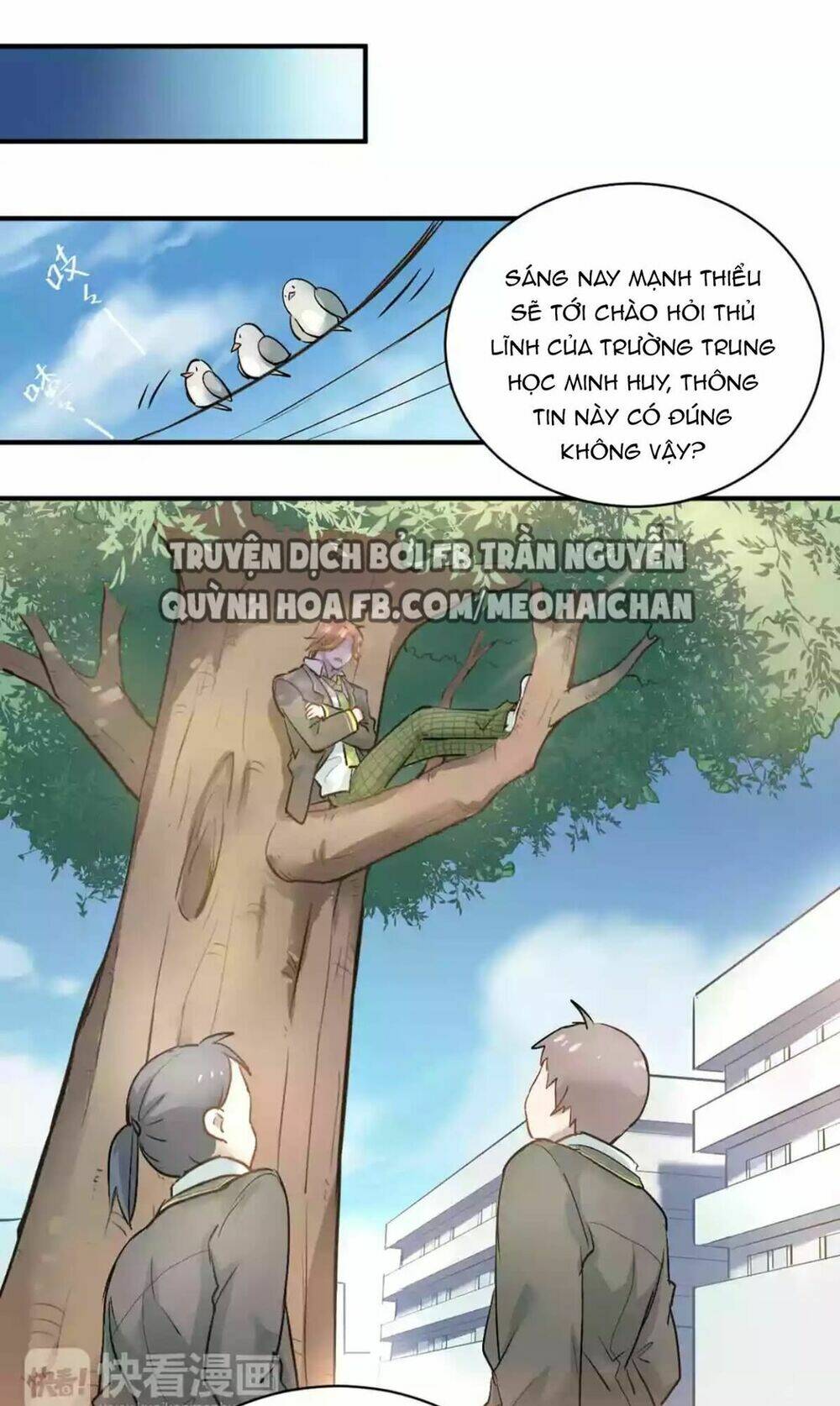 Đầu Gấu Biết Yêu: Chapter 3