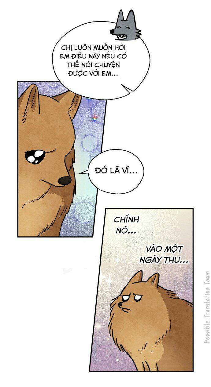 Tai Sói Và Mũ Đỏ: Chapter 31