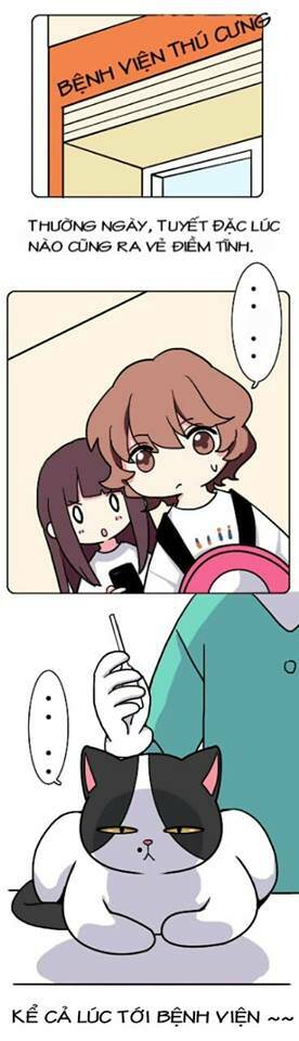 Hello Dư Tuyết Đặc: Chapter 2