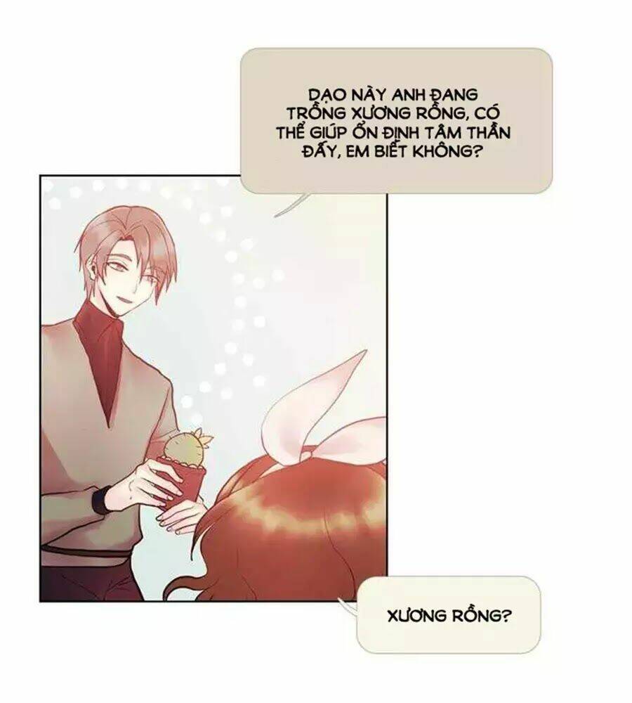 Định Chế Tình Yêu: Chapter 63