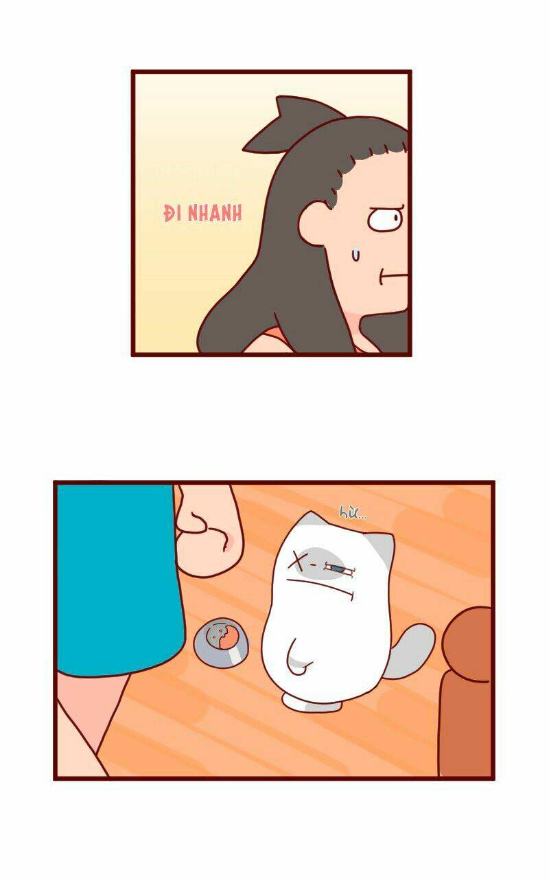 Saphie: Chú mèo một mắt: Chapter 8