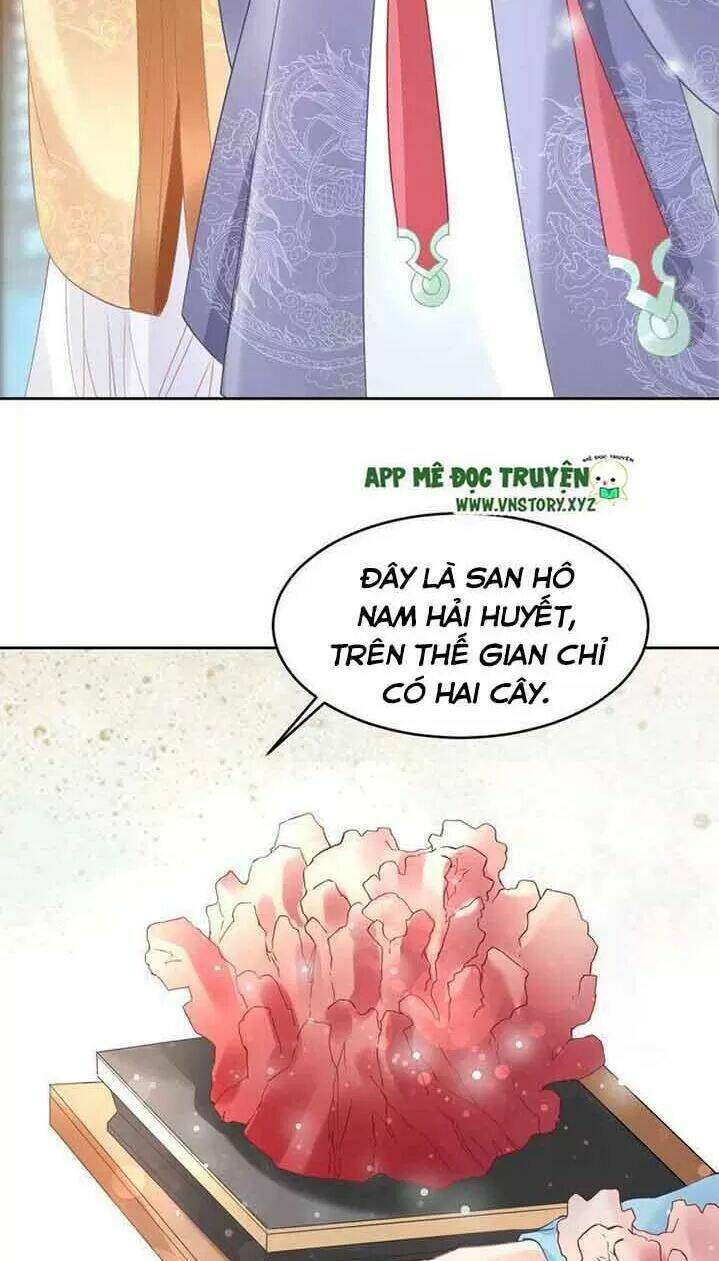 Nhất Sinh Nhất Thế Tiếu Thương Khung: Chapter 16