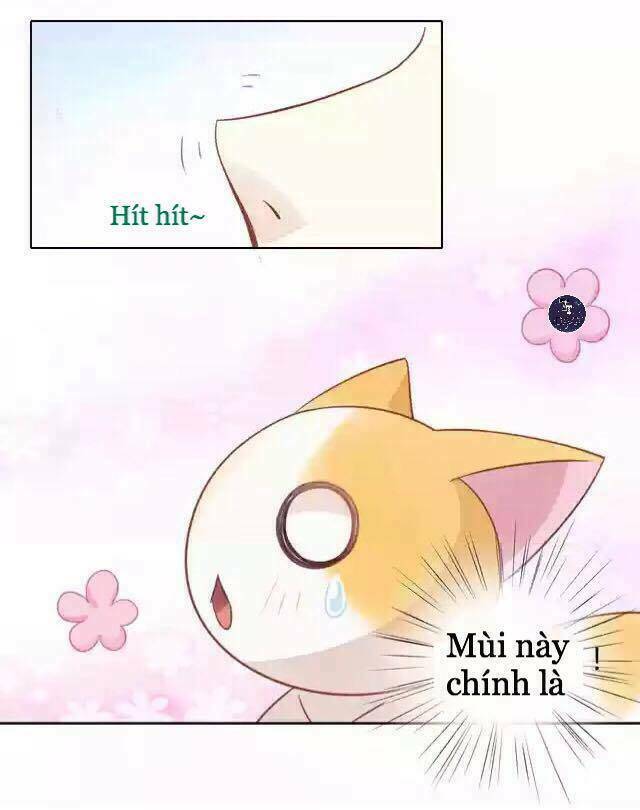 Dưới Móng Vuốt Mèo: Chapter 12