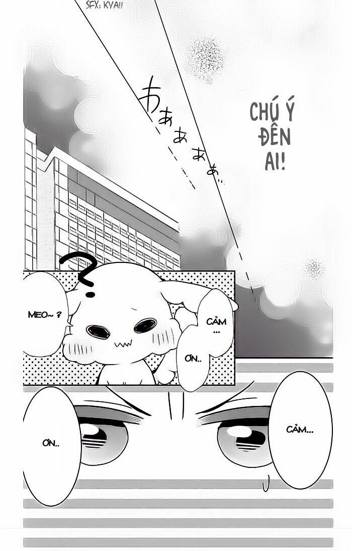 Buddy Go!: Chapter 6