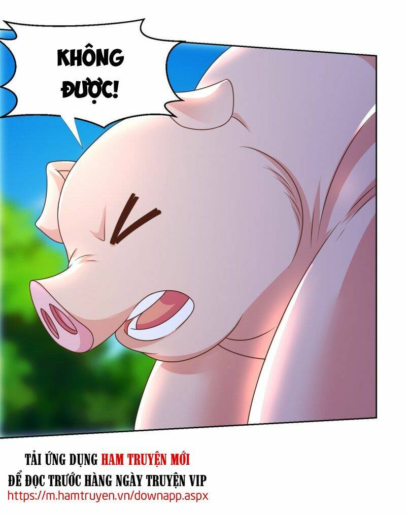 Chí Tôn Trọng Sinh: Chapter 137