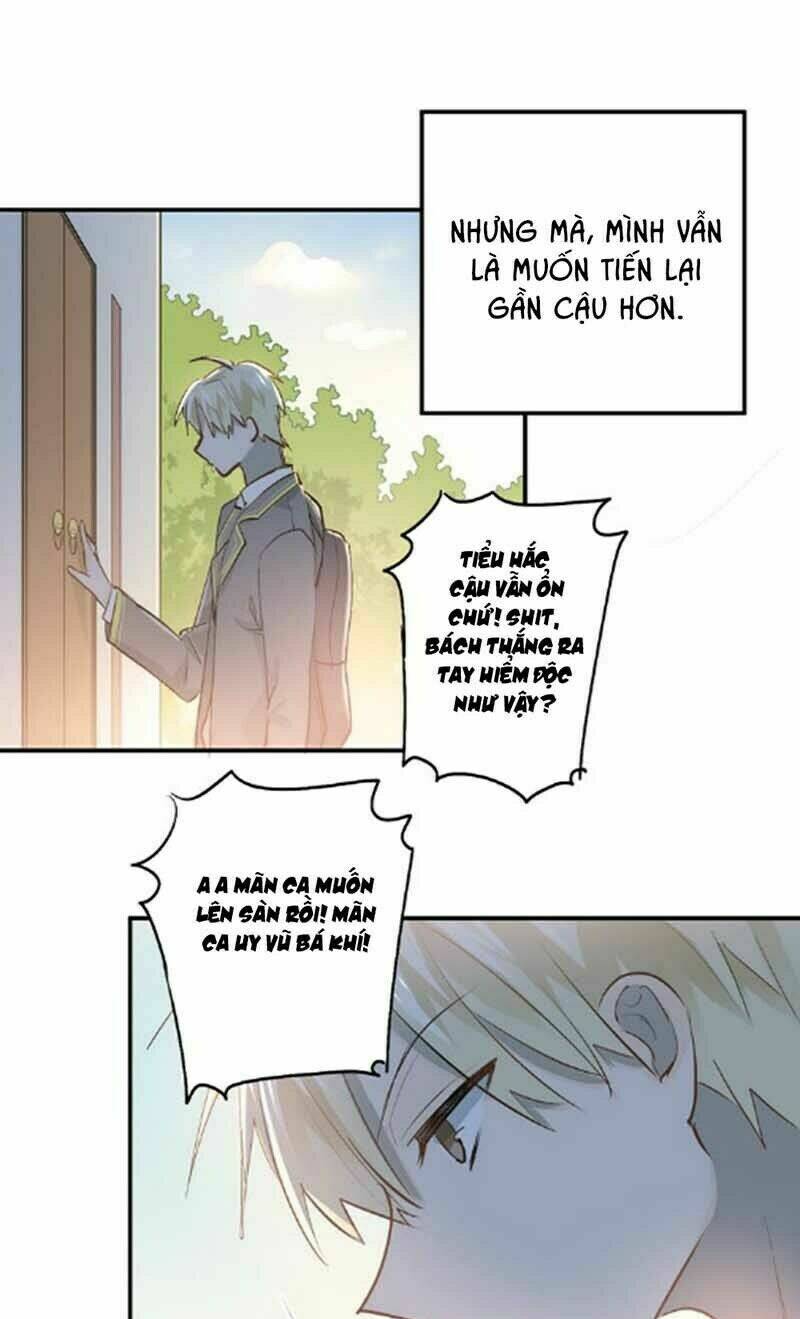 Đầu Gấu Biết Yêu: Chapter 81