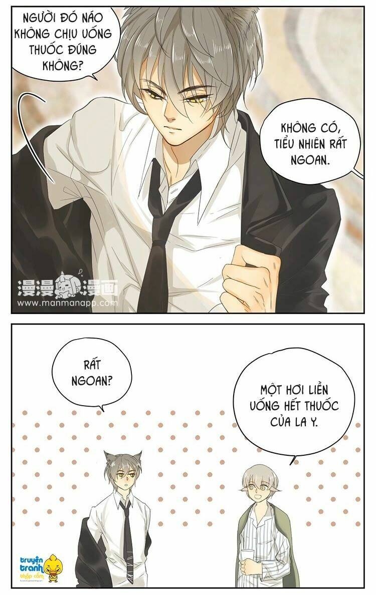 Cứu Mạng! Loài Mèo Thống Trị Thế Giới Rồi!: Chapter 15