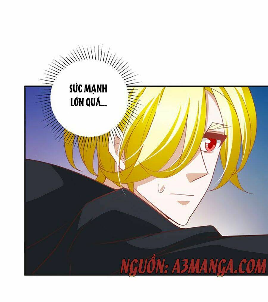 Người Yêu Khát Máu Của Tôi: Chapter 42
