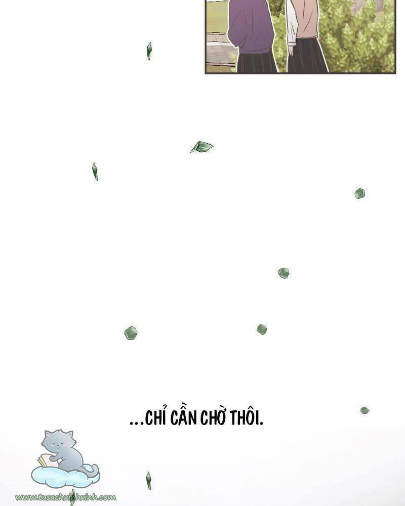 Giấc Mộng Đêm Hè: Chapter 1.1
