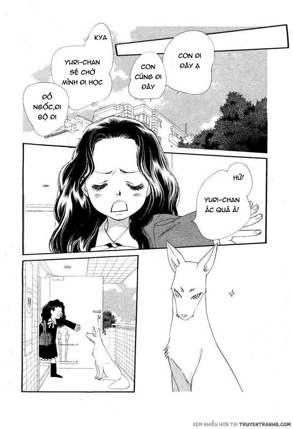 Orange Chocolate: Chapter 8