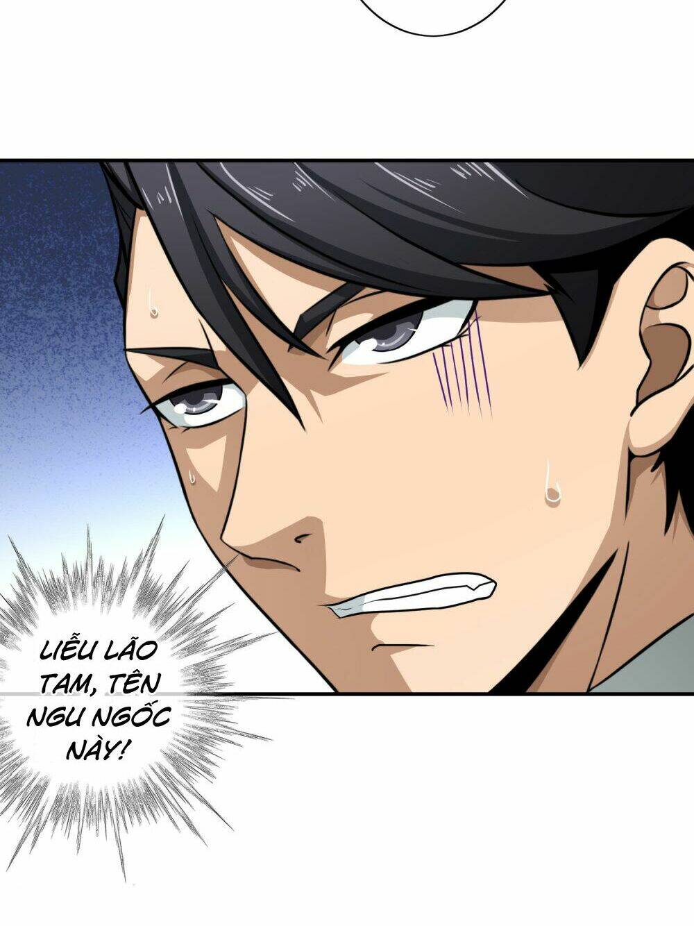 Hộ Hoa Cao Thủ Tại Đô Thị: Chapter 100