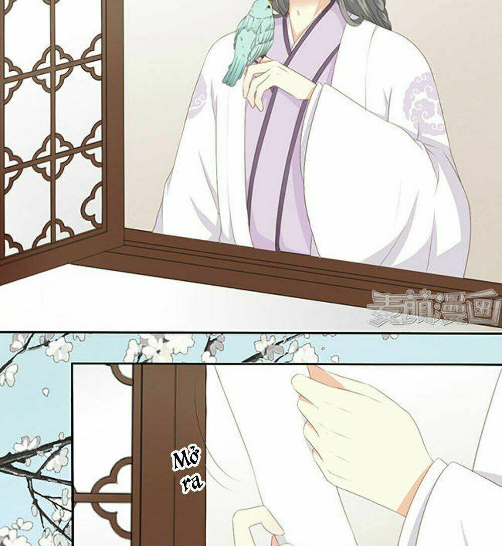 Quy Tự Dao: Chapter 46