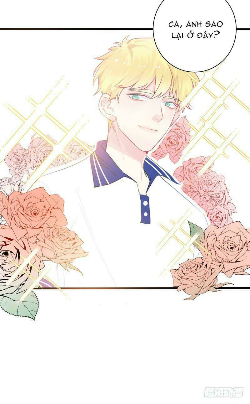 Thư Tay Tình Yêu Của Sơ Hạ: Chapter 4