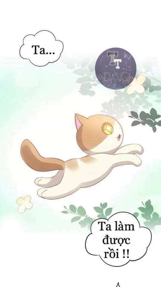 Dưới Móng Vuốt Mèo: Chapter 7