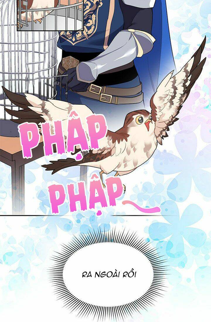 Công Chúa Của Loài Chim: Chapter 8