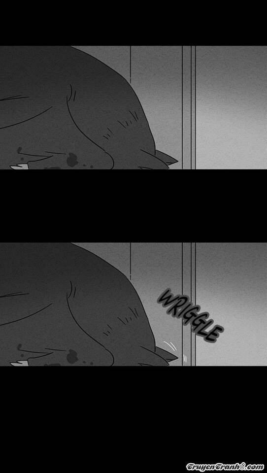 Những Câu Chuyện Bất Thường: Chapter 63