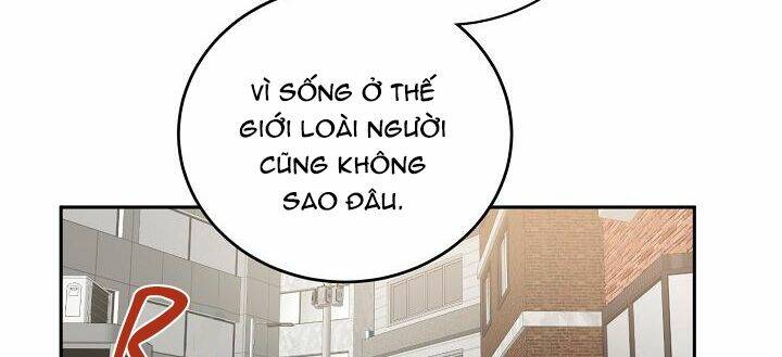 Kẻ Cắp Mặt Trăng: Chapter 61
