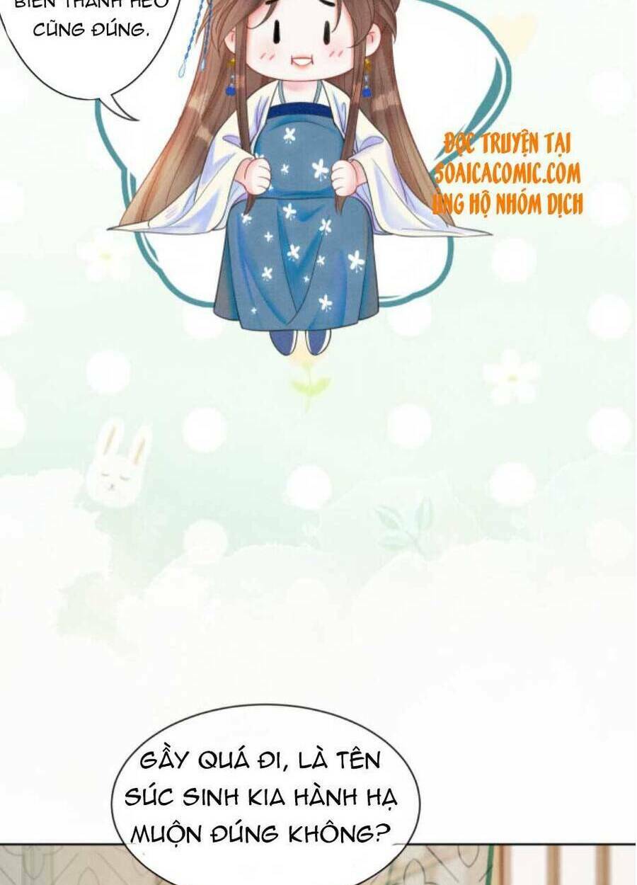 Xung Hỉ Vương Phi: Chapter 48