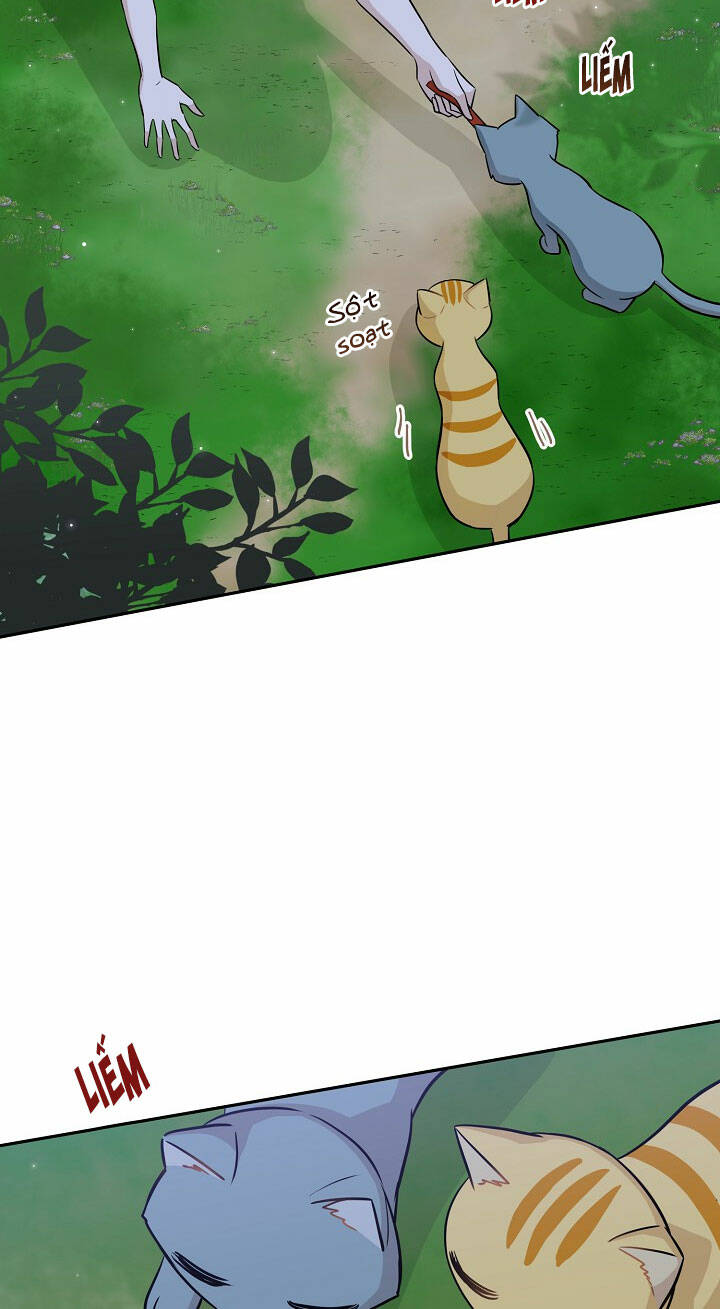 Cuộc Sống Kỳ Thú: Chapter 97