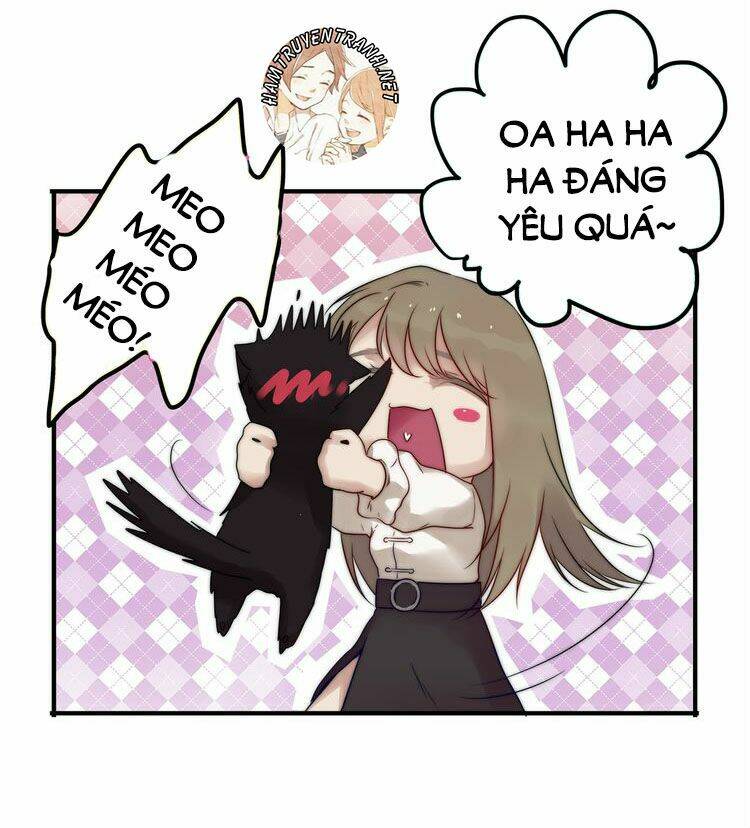 Viện Bảo Tàng Tâm Nguyện: Chapter 2.1