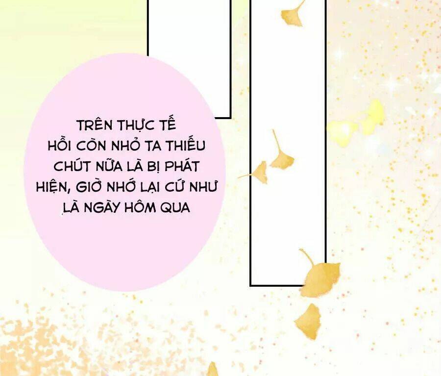 Vương Phi, Vương Gia Nhà Ngươi Không Ngốc Nữa Rồi: Chapter 7