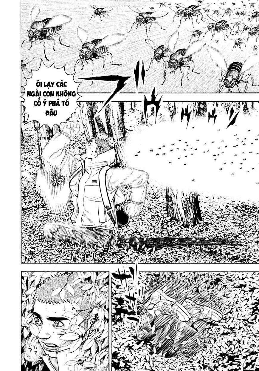 Tough - Miyazawa Kiichi: Chapter 388