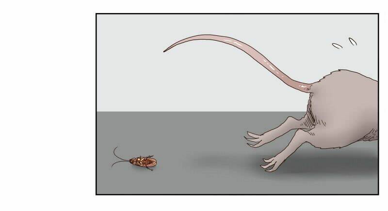 Thế Giới Cận Tử: Chapter 1