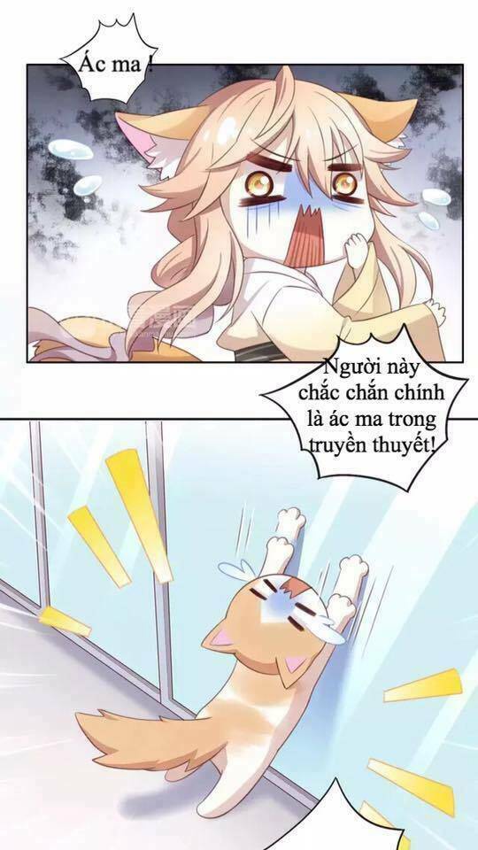 Dưới Móng Vuốt Mèo: Chapter 16