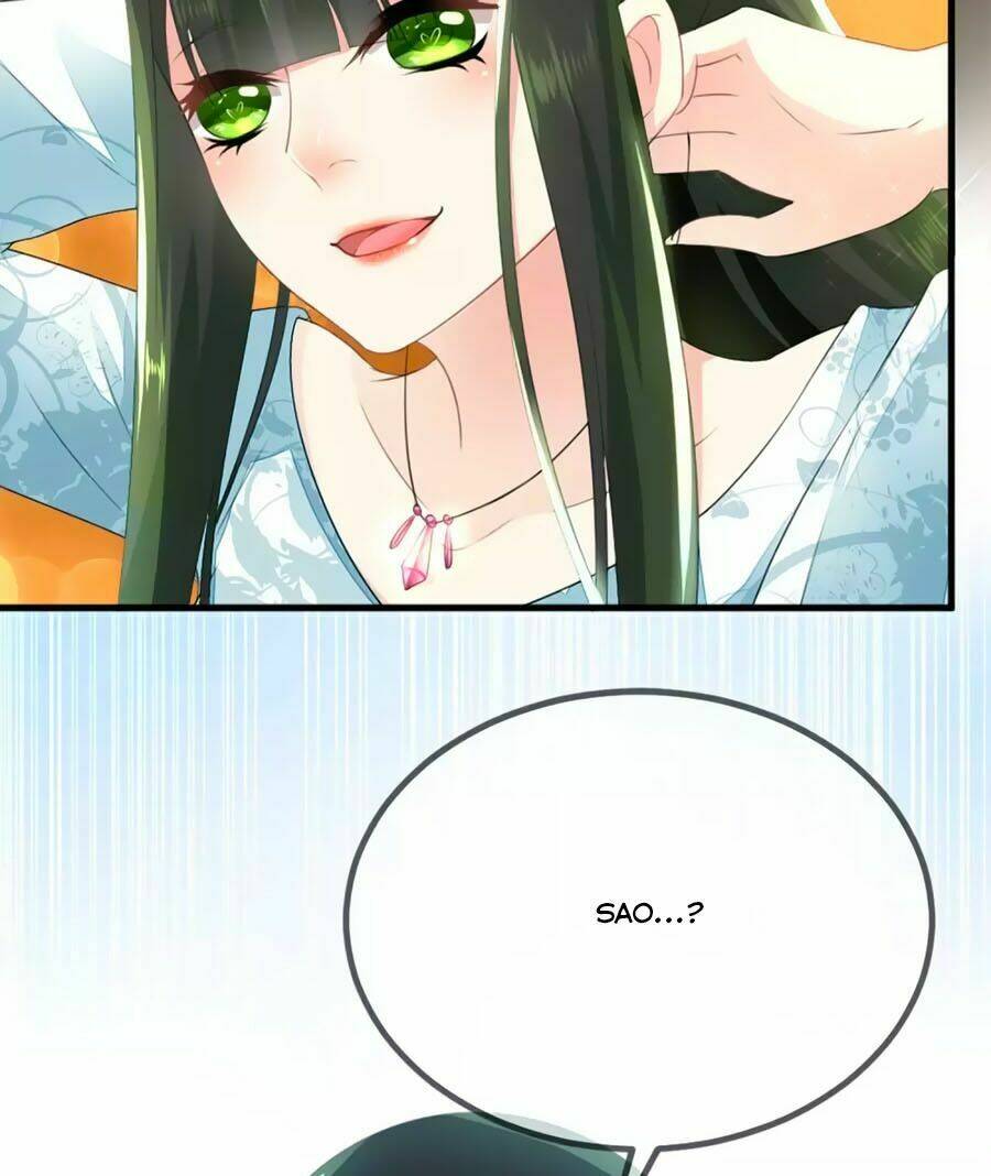 Trù Nương Hoàng Hậu: Chapter 5