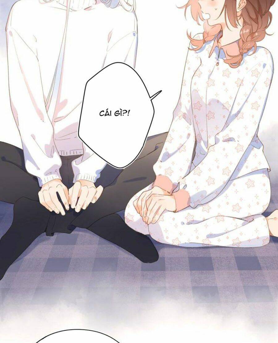 Sos! Tôi Đã Yêu Một Con Sâu Bướm (Phần 2): Chapter 4