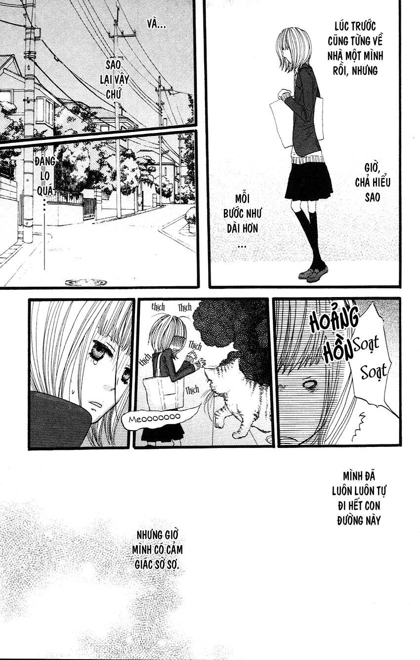 Say I Love You: Chapter 12