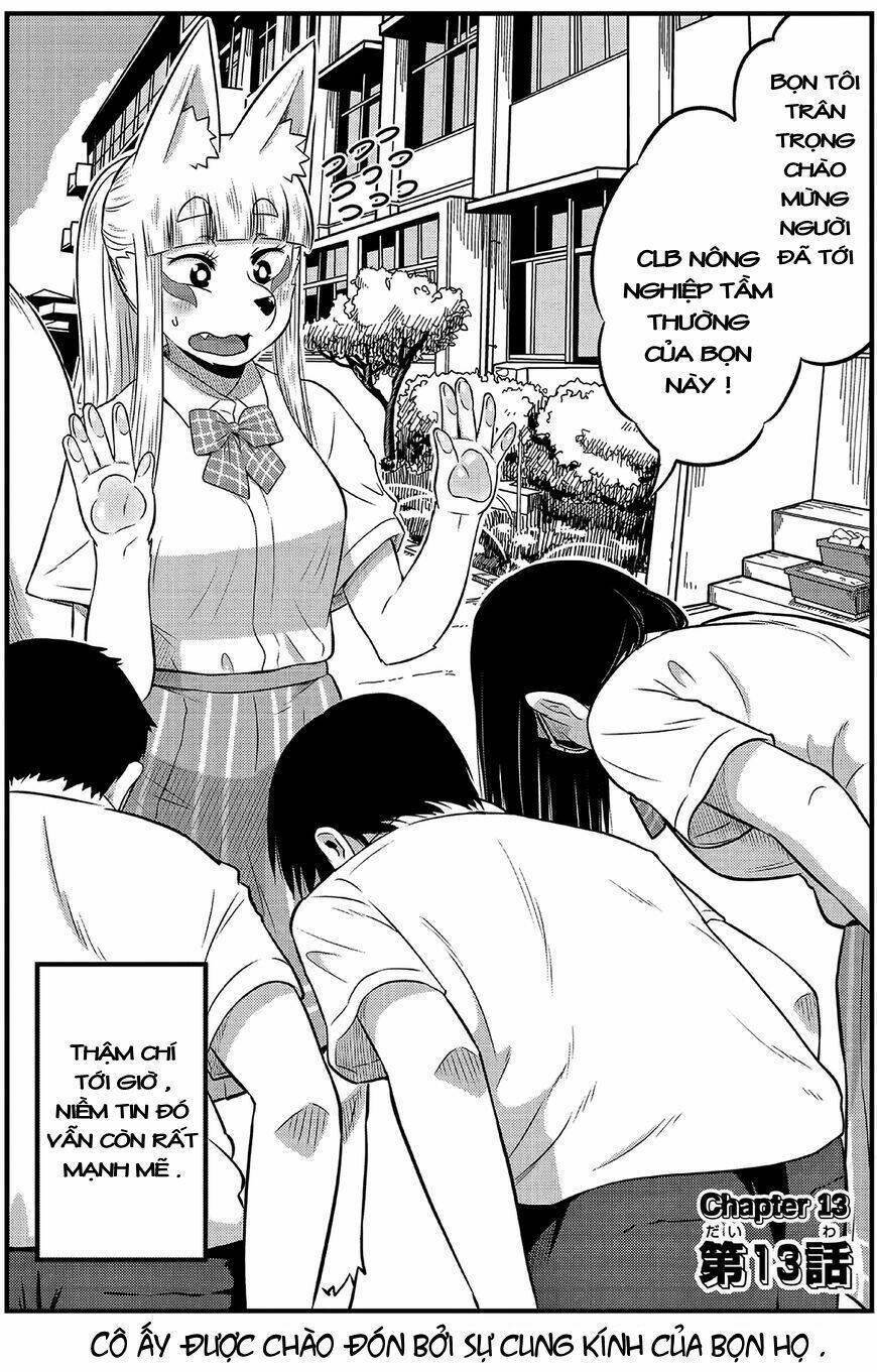 High School Inari Tamamo-Chan: Chapter 13