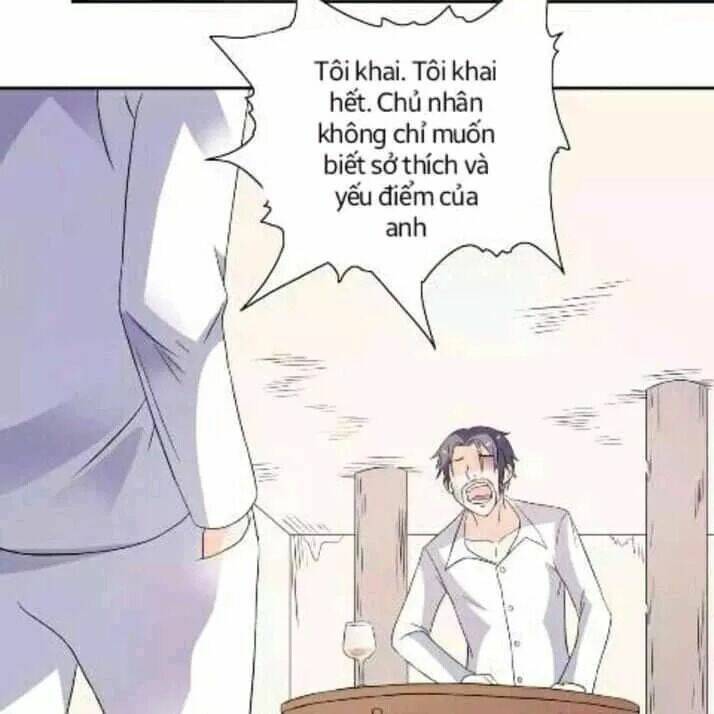 1 Nửa Hoàn Hảo Của Ceo: Chapter 19