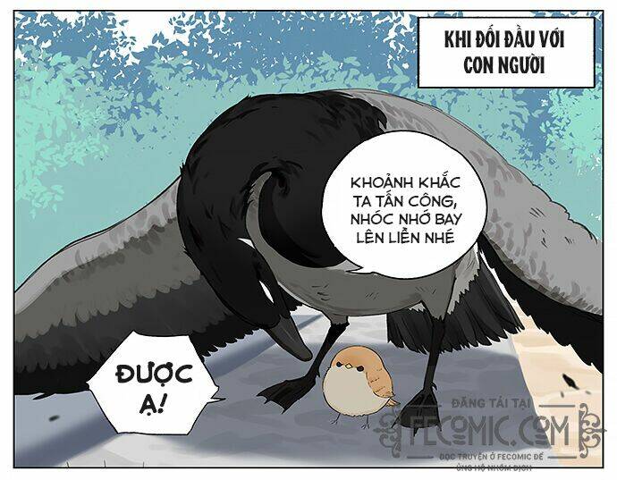 Chim Sẻ Gọi Ngỗng Trời: Chapter 17
