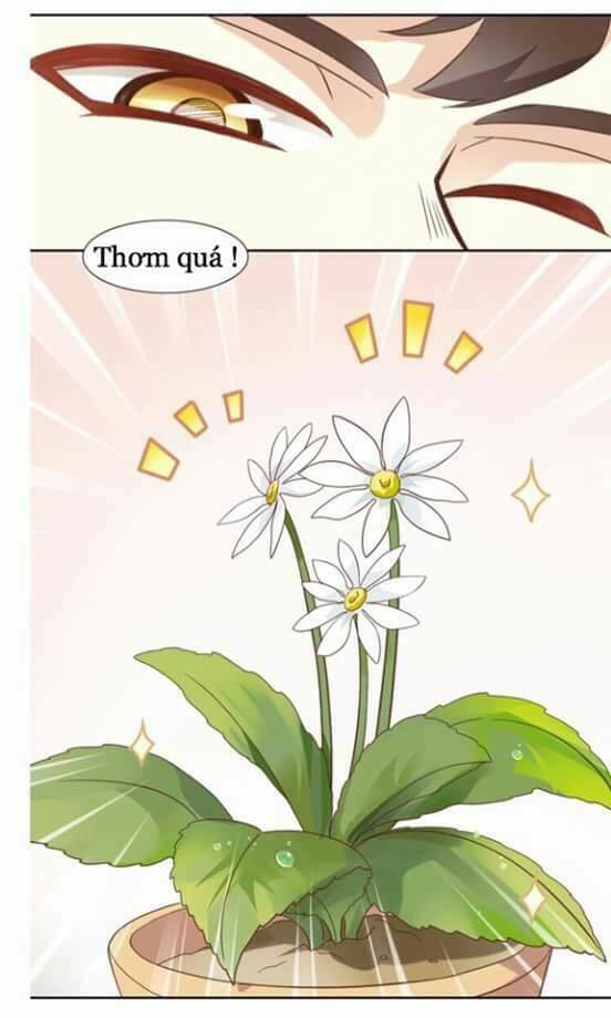 Dưới Móng Vuốt Mèo: Chapter 2