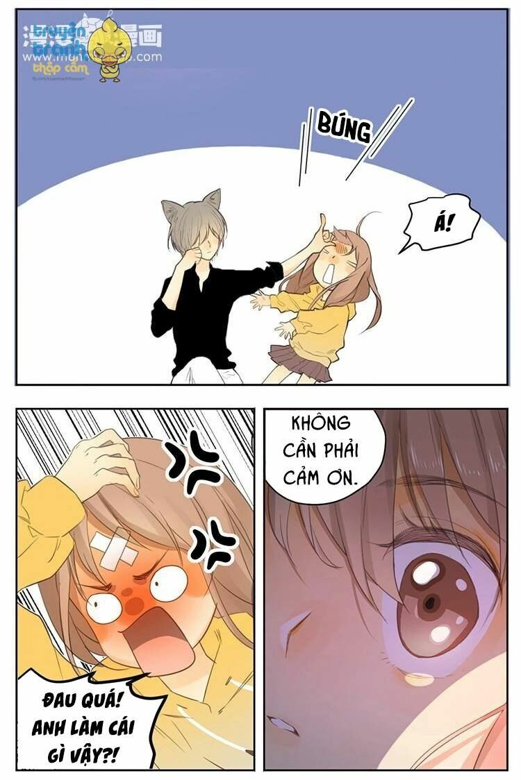 Cứu mạng ! Loài mèo thống trị thế giới rồi !: Chapter 26