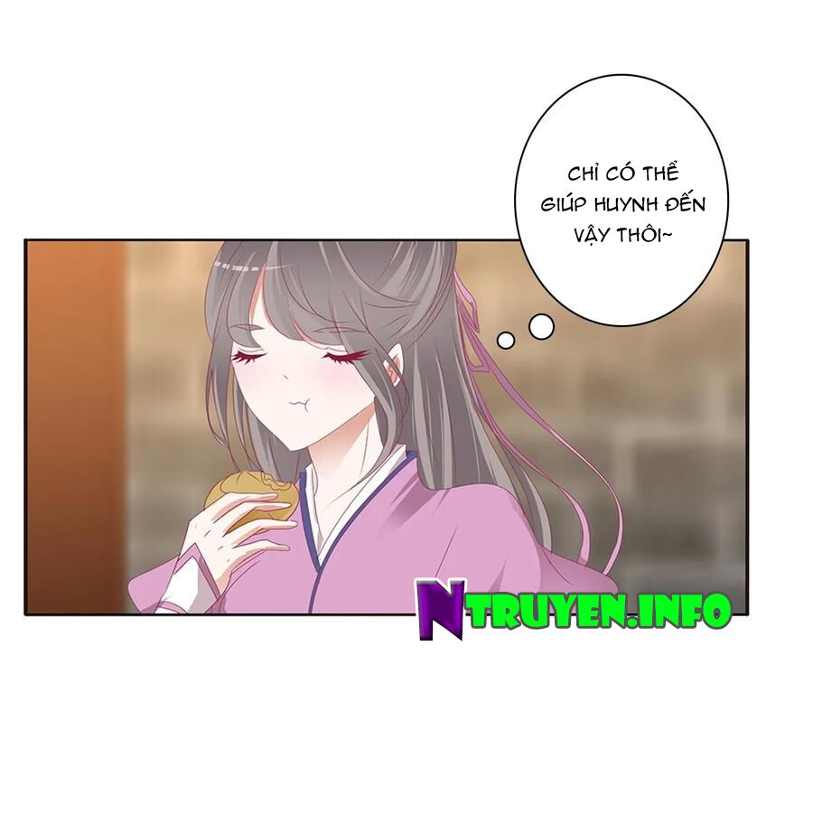 Thông Linh Phi: Chapter 568