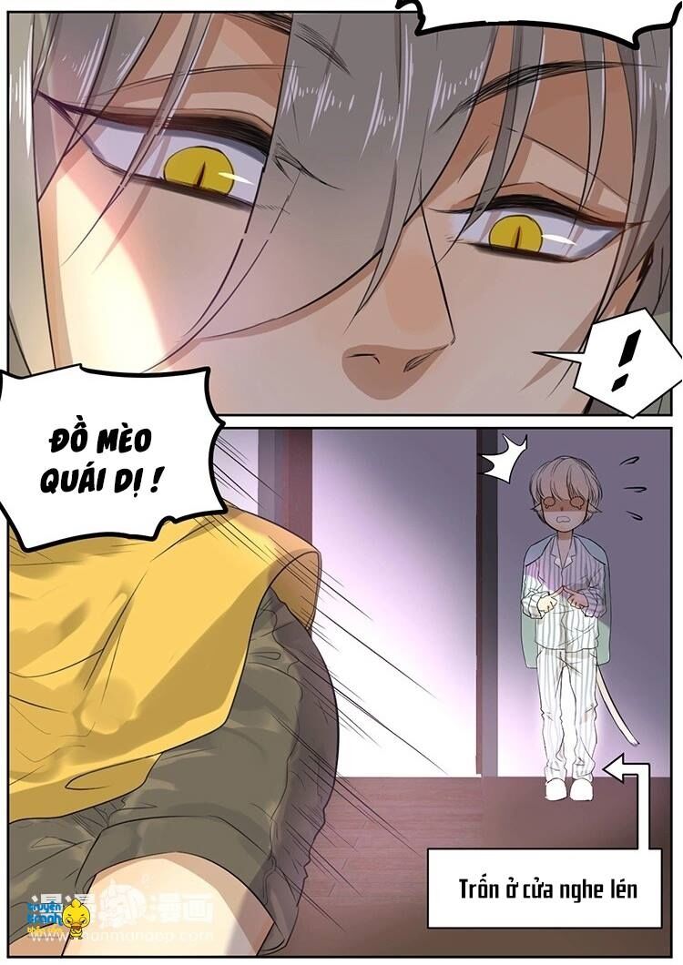 Cứu mạng ! Loài mèo thống trị thế giới rồi !: Chapter 10