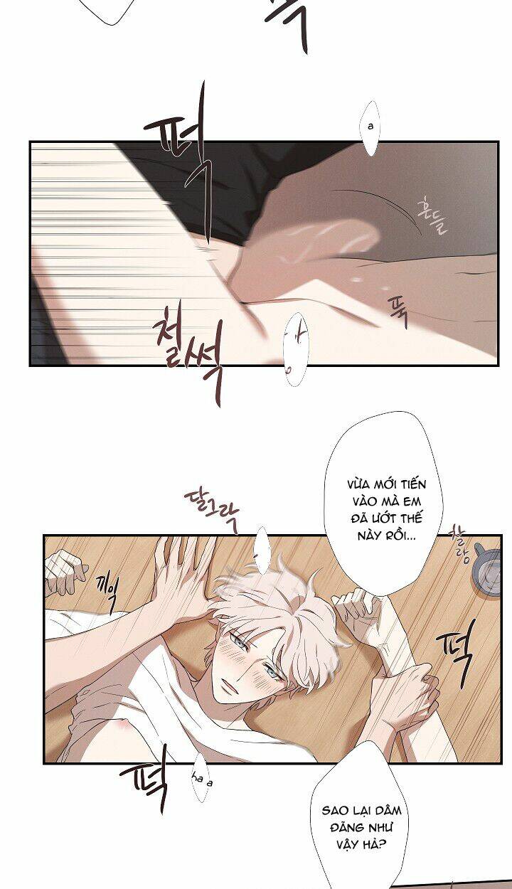 Trốn Tìm: Chapter 27